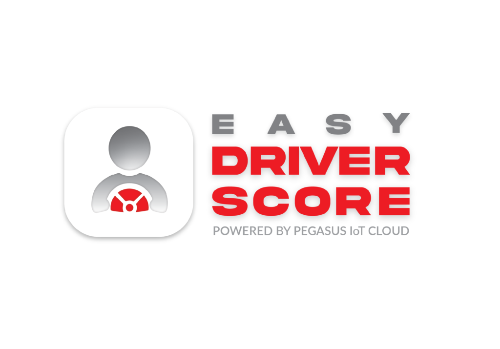 Easy Driver Score
